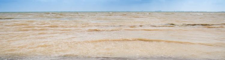 El Mar Menor lleva décadas enfermo