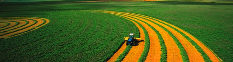 Cataluña reutiliza cerca de 27 hm3 de agua regenerada durante el 2013 para usos ambientales, agrícolas, industriales, recreativos y municipales