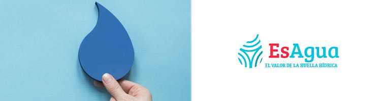 Alianza entre Red EsAgua y Forética para potenciar la gestión sostenible del agua