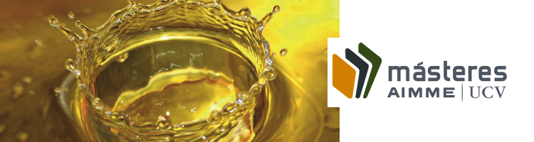 Abierto el plazo para solicitar alumnos en prácticas del Máster en Ingeniería del Tratamiento del Agua del AIMME-UCV