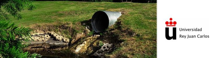 Hongos para eliminar de manera eficaz fármacos en aguas residuales