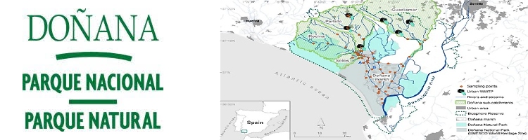 La calidad del agua en Doñana, en peligro