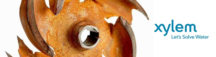 ¿Cómo evitar la cavitación en las bombas?