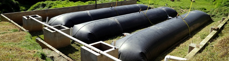 Biobolsa, un biodigestor que abastece de energía a 3.000 granjas en México y América Latina
