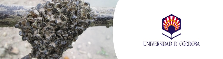 El control del mejillón cebra en Iznájar ha garantizado el suministro de agua potable en el sur de la provincia de Córdoba