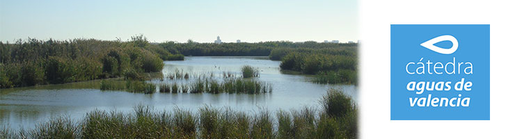 Un estudio de la Cátedra Aguas de Valencia revela que los humedales artificiales retienen y degradan microplásticos