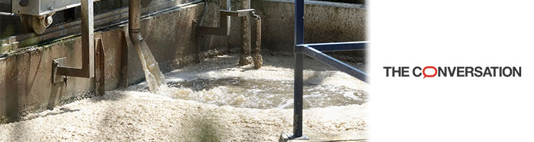 Sensores basados en bacterias, los nuevos guardianes invisibles del agua