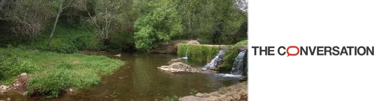 Así podemos entrenar a las bacterias para que eliminen medicamentos del agua