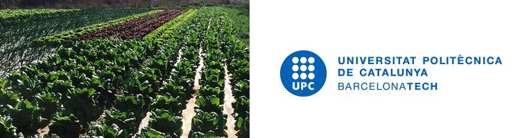 Investigadores españoles estudian los efectos del agua regenerada en el riego agrícola