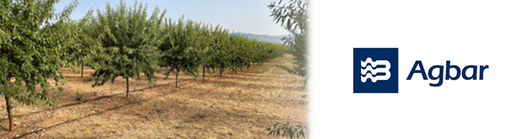 El IICA y Agbar Agriculture, juntos para fomentar la gestión eficiente y sostenible de los recursos hídricos en el sector agrícola