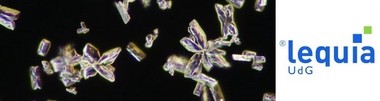 Una tesis del LEQUIA explora la eliminación autotrófica de nitrógeno para recuperar potasio y fósforo de agua residual