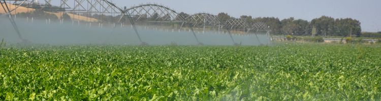 Grupos ecologistas alertan de los riesgos de sobreexplotar más los acuíferos de Castilla-La Mancha