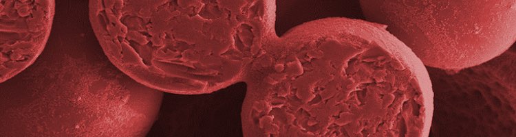 Investigadoras de la Universidad de Chile patentan una membrana anti-bioensuciamiento para desalinización