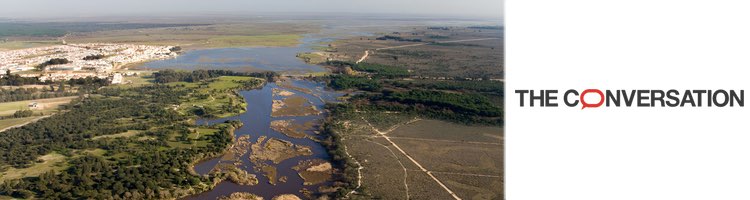 Así vigilamos la salud hídrica de Doñana desde el cielo