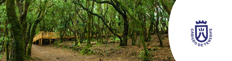 El Ayuntamiento de Santa Cruz y Cabildo de Tenerife mejorarán el saneamiento del Parque Rural de Anaga