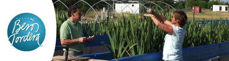 El Consorcio Besós Tordera acoge una jornada técnica sobre la importancia de las plantas en los procesos de depuración