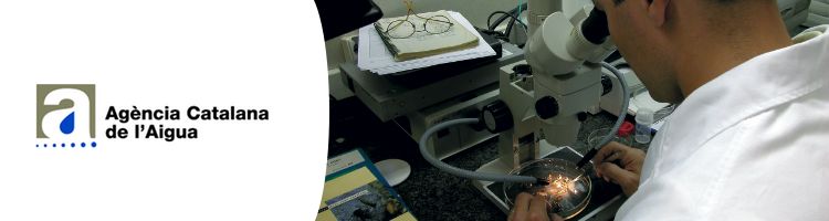 La apuesta por la investigación y la innovación en el Ciclo del Agua