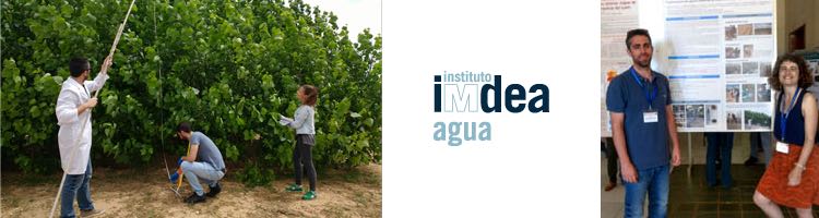 Filtros verdes: depuración de aguas mediante la acción conjunta de suelo, microorganismos y vegetación