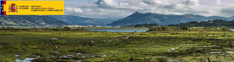 El MAPAMA licitará las obras del colector de la ría de Rada en Cantabria por 18 M€
