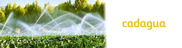 CADAGUA-MIT Inician un nuevo proyecto de I+D para generar agua de riego rica en nutrientes
