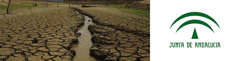 La Junta aprueba elaborar planes especiales para situaciones de sequía en las cuencas andaluzas