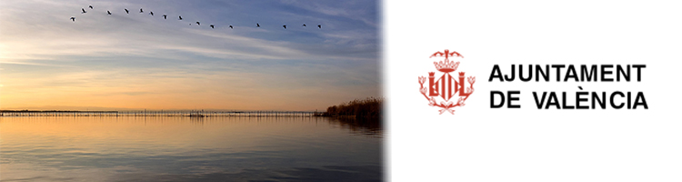 El Ayuntamiento de València propone al Gobierno central una solución para acabar con la carencia estructural de agua en l' Albufera