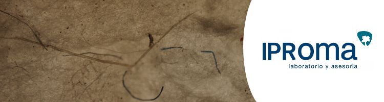 IPROMA desarrolla una técnica pionera para cuantificar la presencia de microplásticos en aguas y arenas