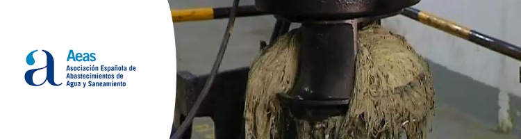 55 nuevas adhesiones a la Declaración internacional del sector del agua contra el “monstruo de las cloacas”