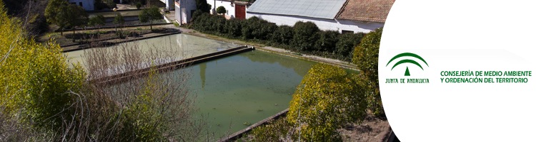 La Junta de Andalucía adjudica la redacción del proyecto de reforma de la EDAR de Setenil de las Bodegas en Cádiz