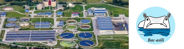 Hipo AN4400 de BAC-ASILI, para solucionar los problemas habituales de la digestión anaerobia