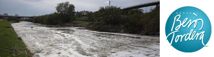 Sigue en marcha el "Plan de choque para el seguimiento del impacto ambiental en el Besòs" tras el incendio de Montornès