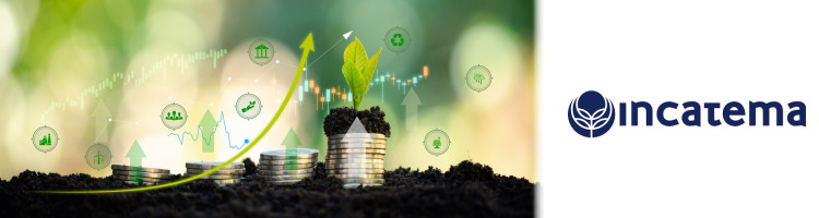 Incatema participa en la modernizaci&oacute;n del regad&iacute;o en Egipto bajo un modelo clim&aacute;tica y financieramente sostenible