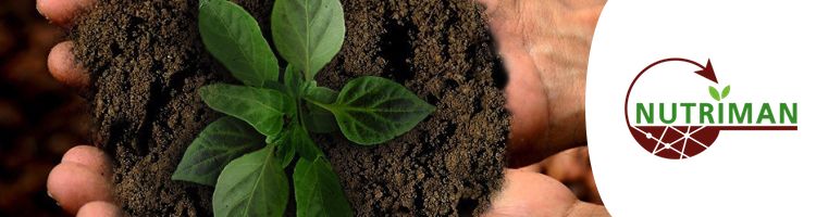 DAM participa en un proyecto para impulsar la transferencia y aplicación de tecnología innovadora en la agricultura