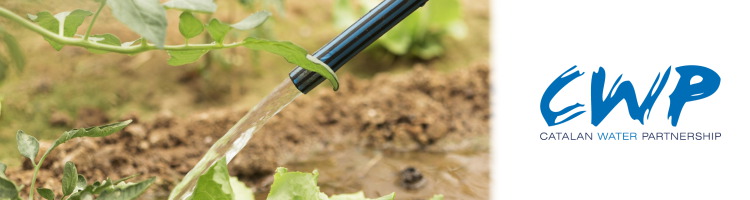 RE2AQUA valida en entornos reales el potencial de la reutilizaci&oacute;n de agua en el sector agroalimentario