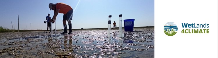 España lidera un estudio para conocer el papel de los humedales frente al cambio climático