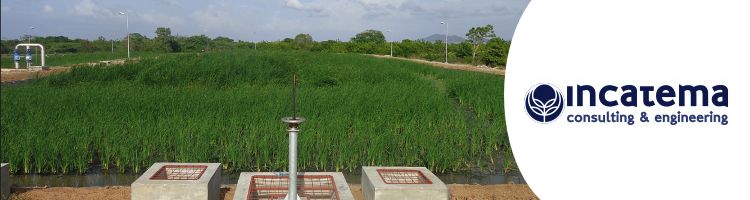 INCATEMA finaliza la explotación de la depuradora de macrofitas del Parque Industrial de Caracol en Haití