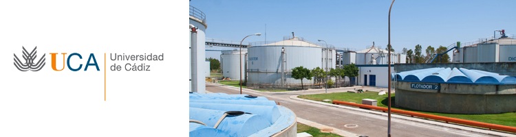 Investigadores de la UCA trabajan en generar energía a partir de los residuos de la aceituna y de los lodos de EDAR
