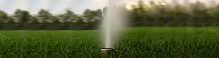 Más de 2.000 hectáreas verdes se riegan ya con agua regenerada en la Comunidad de Madrid