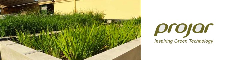 Logran la depuración de aguas residuales con un sistema ecológico que imita a los humedales