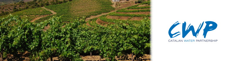 PRIORI.DAT avanza en la digitalizaci&oacute;n del sector agroalimentario del Priorat a trav&eacute;s del uso estrat&eacute;gico de los datos