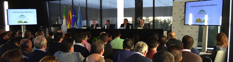 El Consorcio PROMEDIO de Badajoz aprueba un presupuesto de 23,2 M€ para 2016