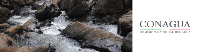 La calidad del agua en México durante el 2019