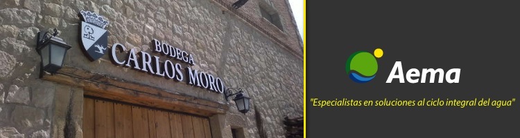 AEMA optimiza la depuradora de Bodegas y Viñedos Carlos Moro del Grupo Matarromera en La Rioja