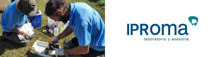 IPROMA Sevilla amplía su alcance de acreditación ENAC