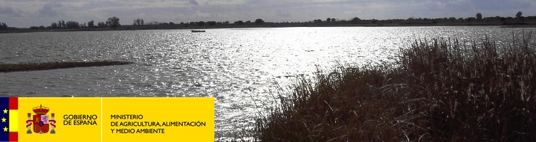 El MAGRAMA adjudica por 4,28 millones un nuevo bloque de actuaciones para la mejora del saneamiento en el entorno de Doñana