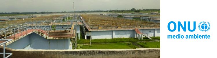 Mejorar el tratamiento de aguas residuales es crucial para la salud humana y los ecosistemas