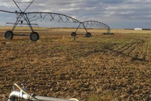 La Finca Ballesteros de Vinaceite confía en SUEZ para la mejora en la eficiencia de sus sondeos para el regadío