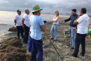 Las brigadas de limpieza del Mar Menor retiran 450 m3 de algas y residuos orgánicos de aguas de la laguna