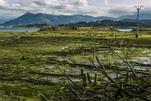 El MAPAMA licitará las obras del colector de la ría de Rada en Cantabria por 18 M€