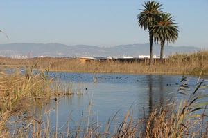 Arrancan las pruebas para la mejora ambiental del tramo final del río Llobregat con agua regenerada